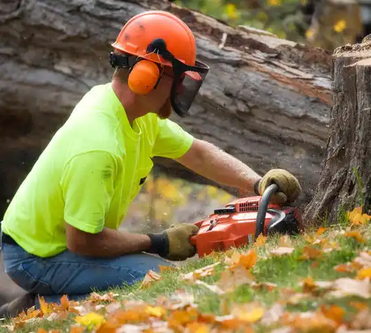 tree services Grass Valley